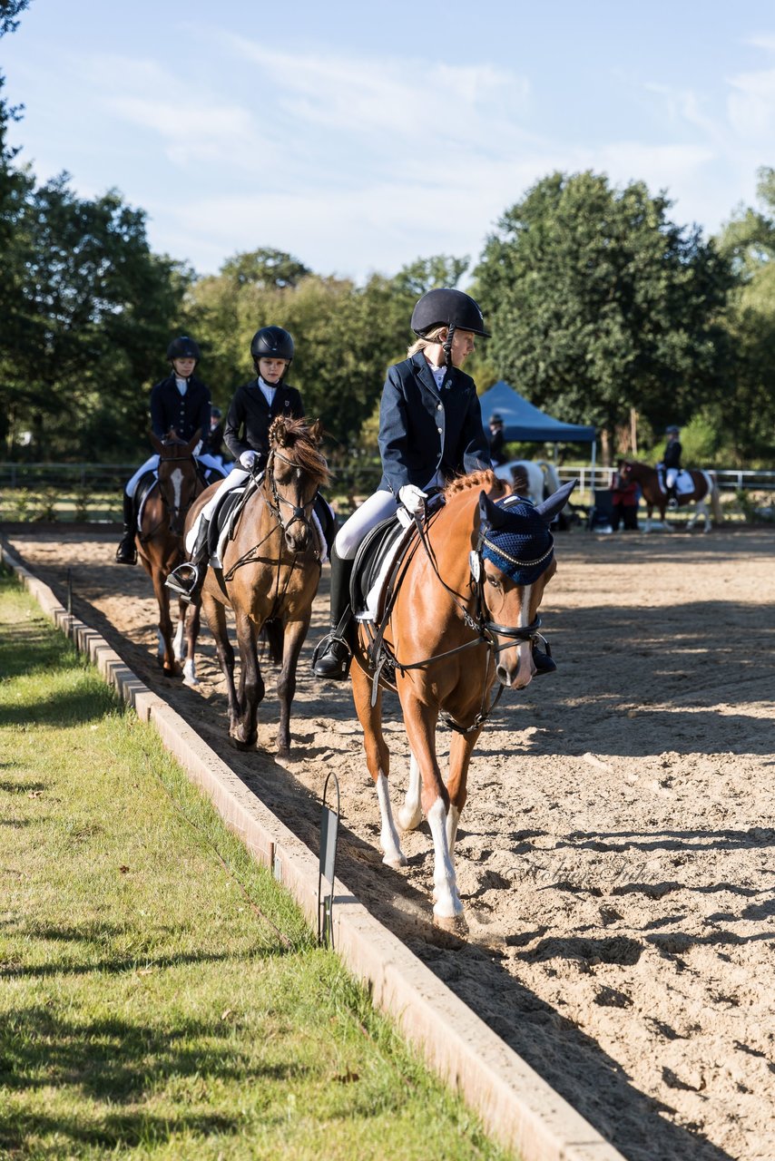 Bild 6 - Pony Akademie Turnier